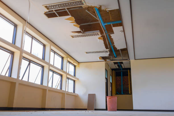 Best Mold removal after water damage  in Quantico Base, VA