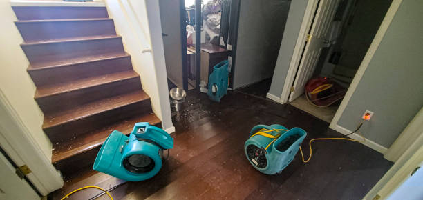 Best Emergency water damage restoration  in Quantico Base, VA