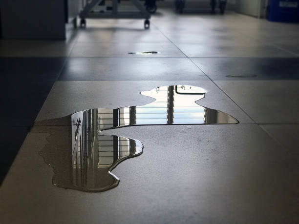 Best Flood damage cleanup  in Quantico Base, VA