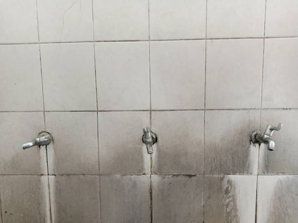Best Water damage contractors near me  in Quantico Base, VA
