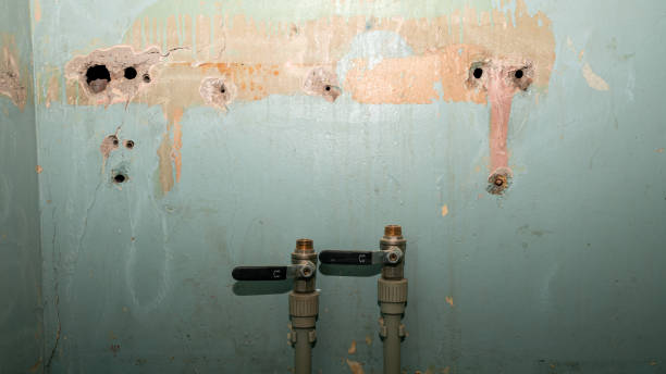 Best Mold removal after water damage  in Quantico Base, VA